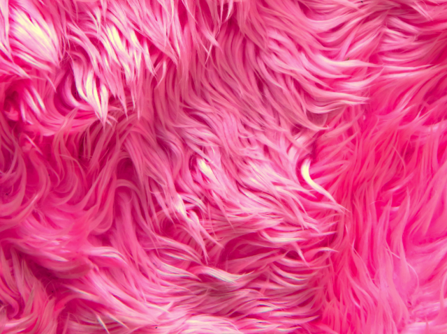 © Pink Fake Fur, Foto: iStock.com/Casanowe